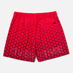 Dash Melo Shorts