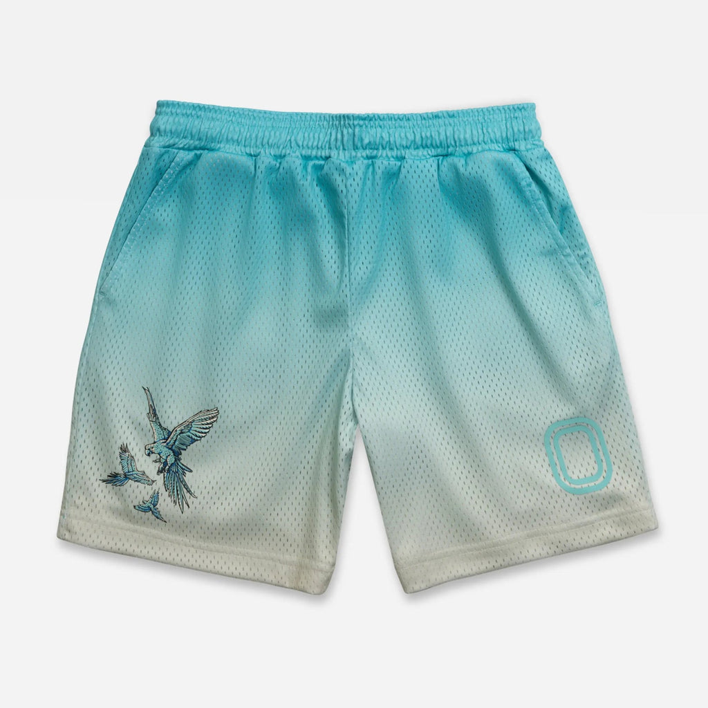Gradient blue shorts with a bird design