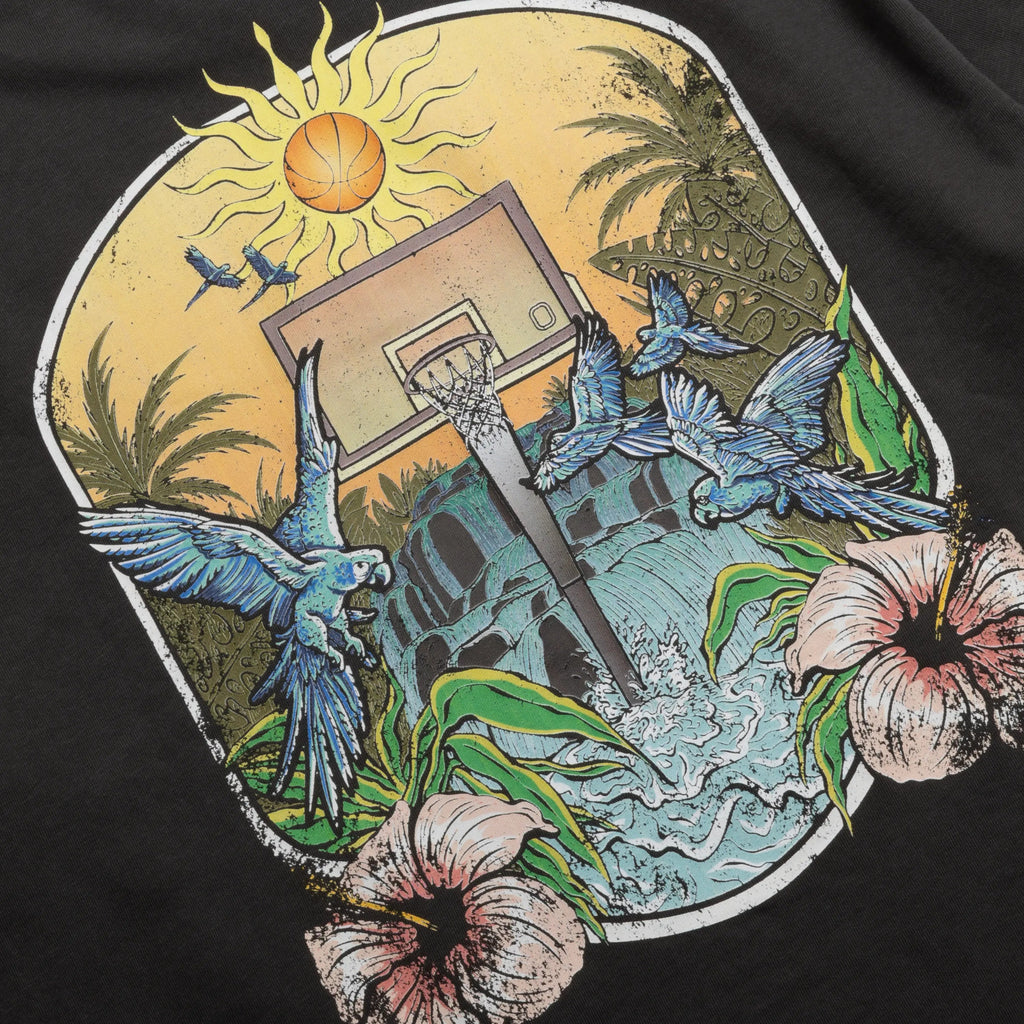 Artistic design of a basketball hoop with parrots, flowers, and a sun