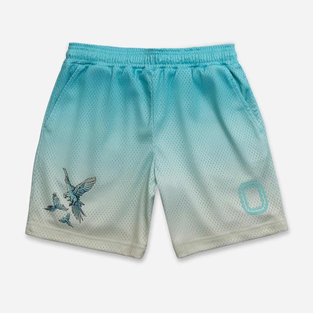 Gradient blue shorts with a bird design