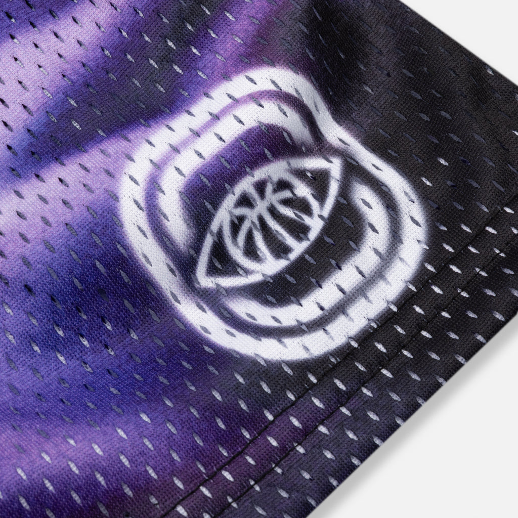 Motion Blur Hoop Mesh Shorts