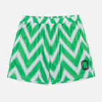 Nigeria '18 Shorts