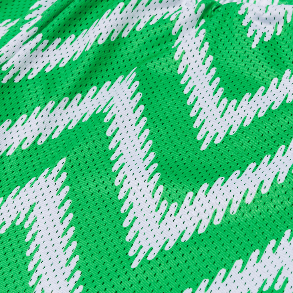 Nigeria '18 Shorts