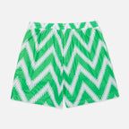 Nigeria '18 Shorts