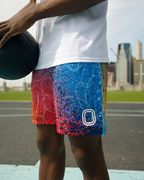 Vandal Spraypaint Shorts