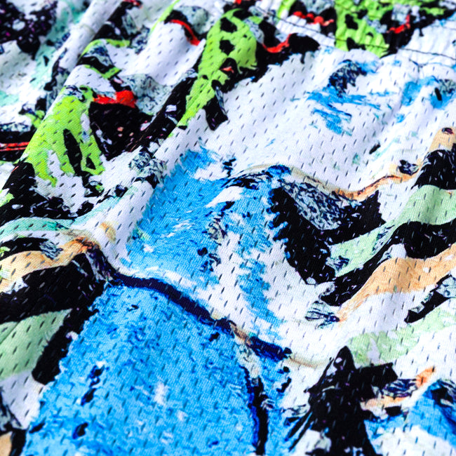 Vandal Paint Mesh Shorts