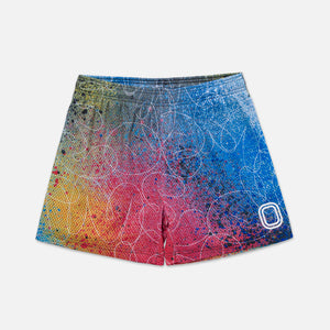Vandal Spraypaint Shorts