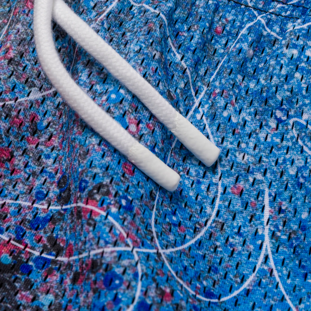 Vandal Spraypaint Shorts