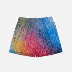 Vandal Spraypaint Shorts