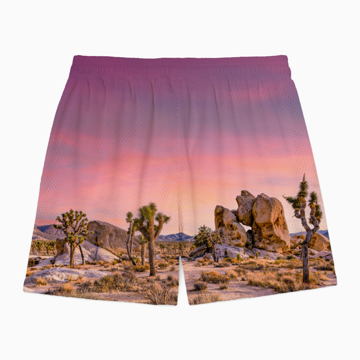LA Sunset Shorts