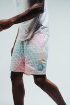 Aura Mesh Shorts